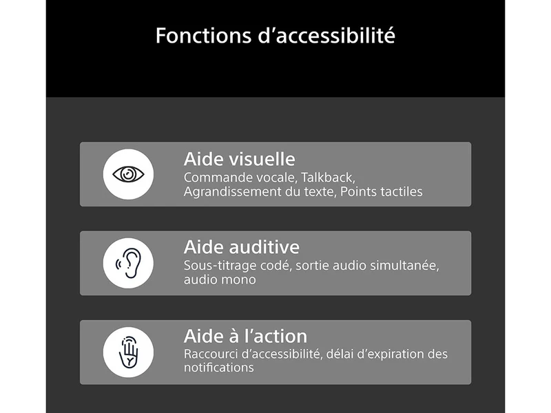 SONY 48 BRAVIA 6 (K48A65PB)