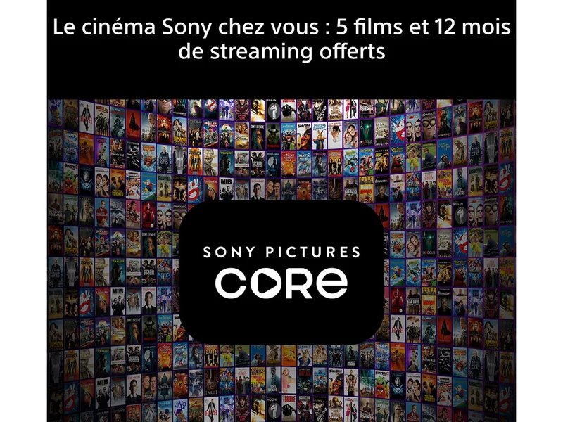 SONY 55 BRAVIA 6 (K55A65PB)