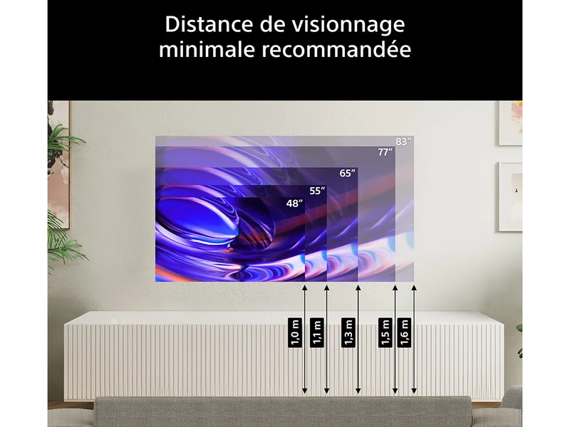 SONY 77 BRAVIA 6 (K77A65PB)