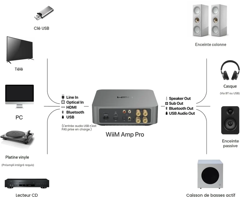 Wiim Amp Pro | Amplificateur de streaming multiroom 60Watts/Canal