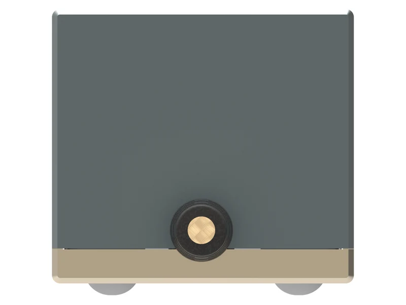 iFi Audio iPOWER Elite 24V