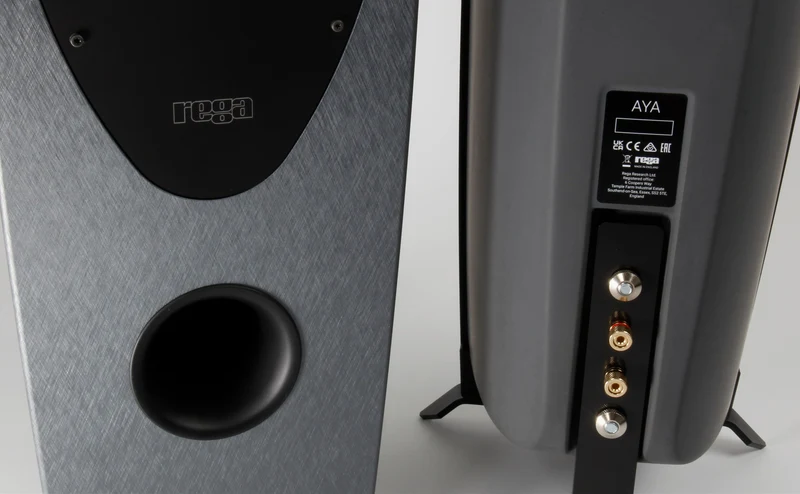 REGA AYA | Enceintes acoustiques de type colonne 2.5 voies