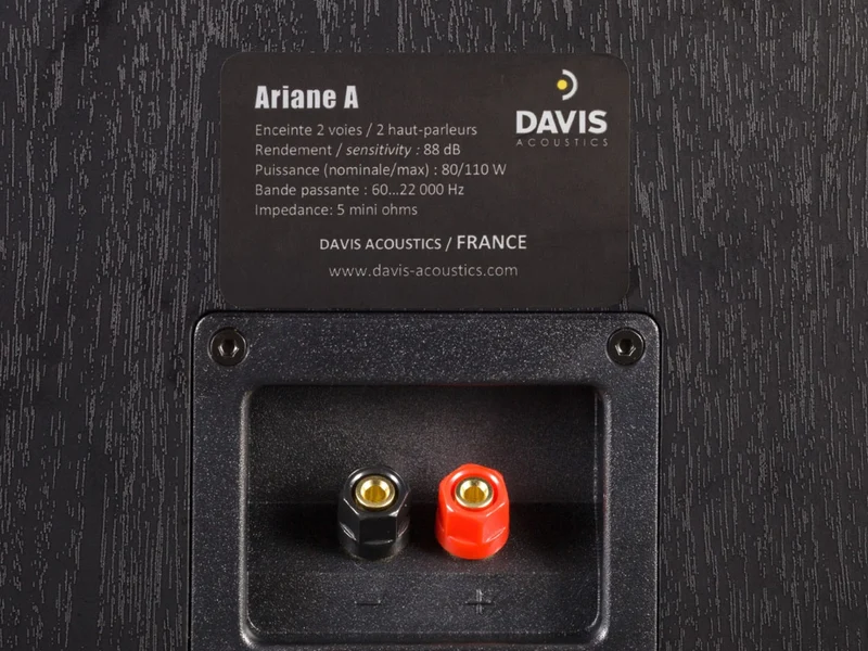 DAVIS ARIANE A (la pièce)