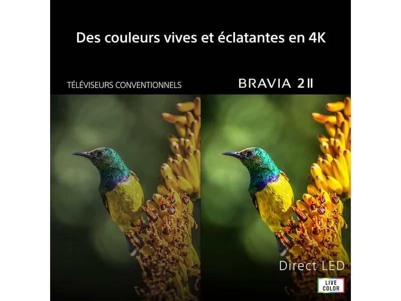 SONY 50 BRAVIA 2 II (K50S25M2PB)