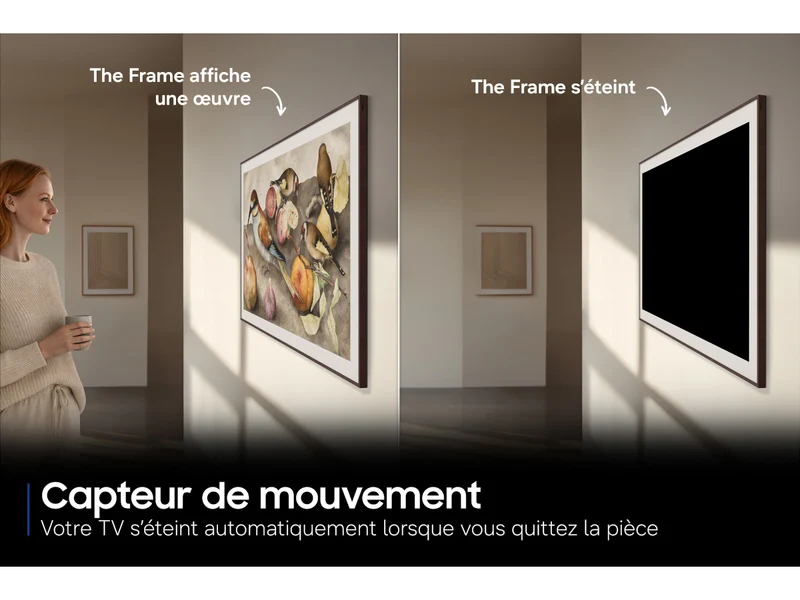 SAMSUNG The Frame 65'' 2026