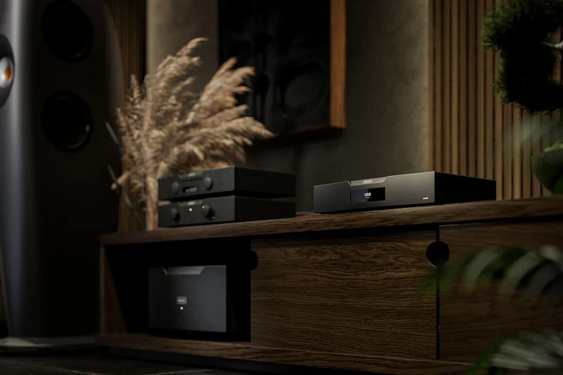 Hegel D50 | Convertisseur numérique-analogique (DAC) de référence