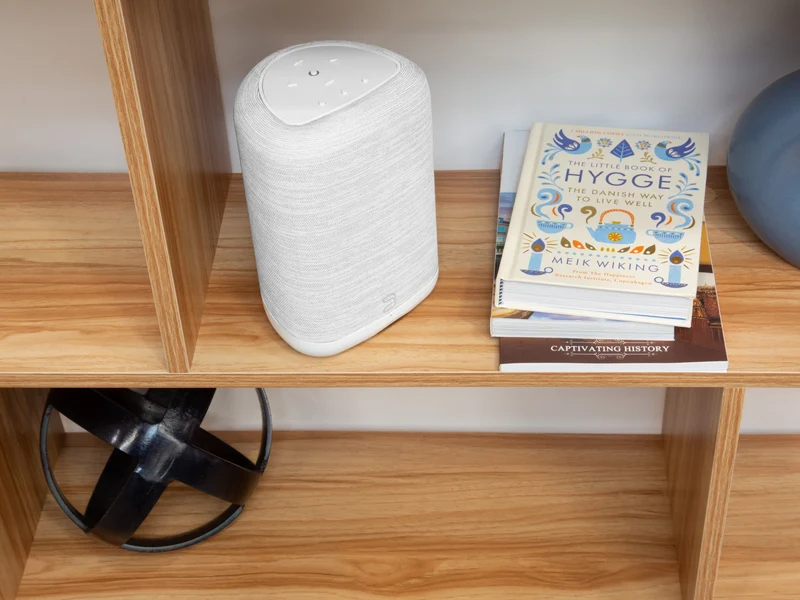 Bluesound PULSE FLEX | Enceinte Bluetooth compacte