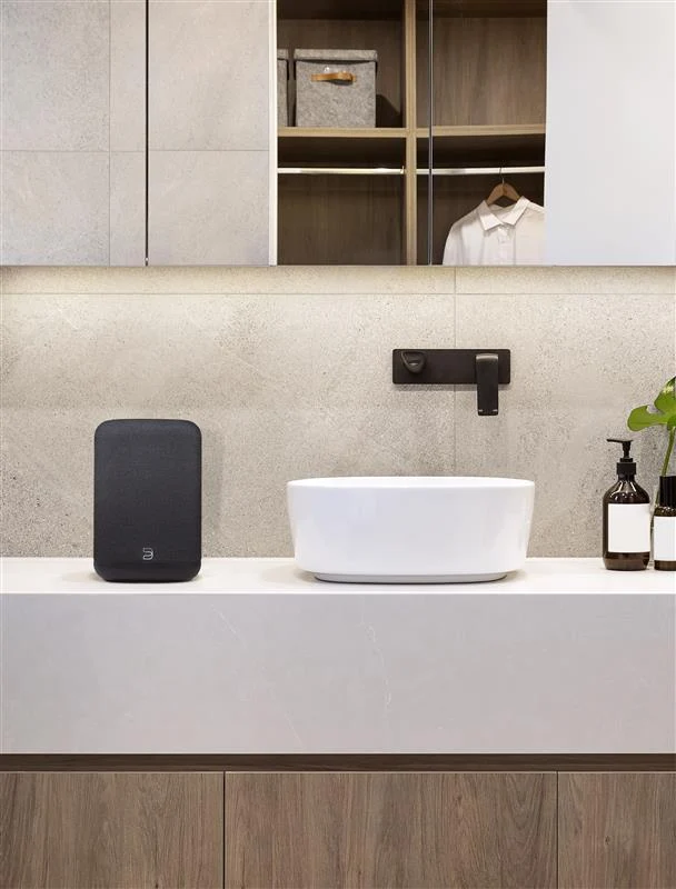 Bluesound PULSE FLEX | Enceinte Bluetooth compacte