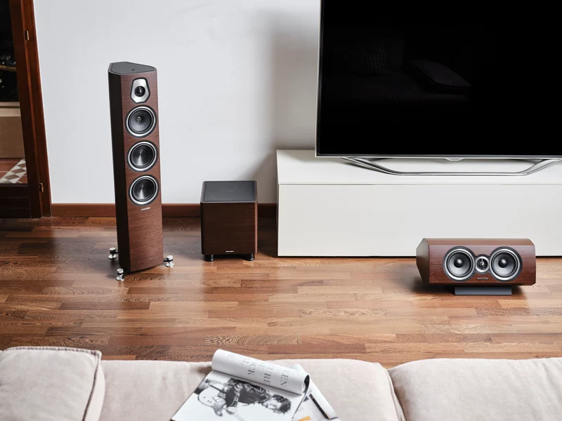Sonus Faber GRAVIS I | Caisson de basses Haute-Fidélité 150 Watts