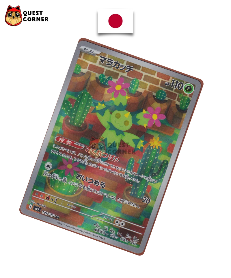 Maracachi 101/100 – SV9 – AR – Japonais