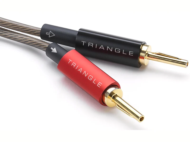 TRIANGLE BP450 (Boite de 4)