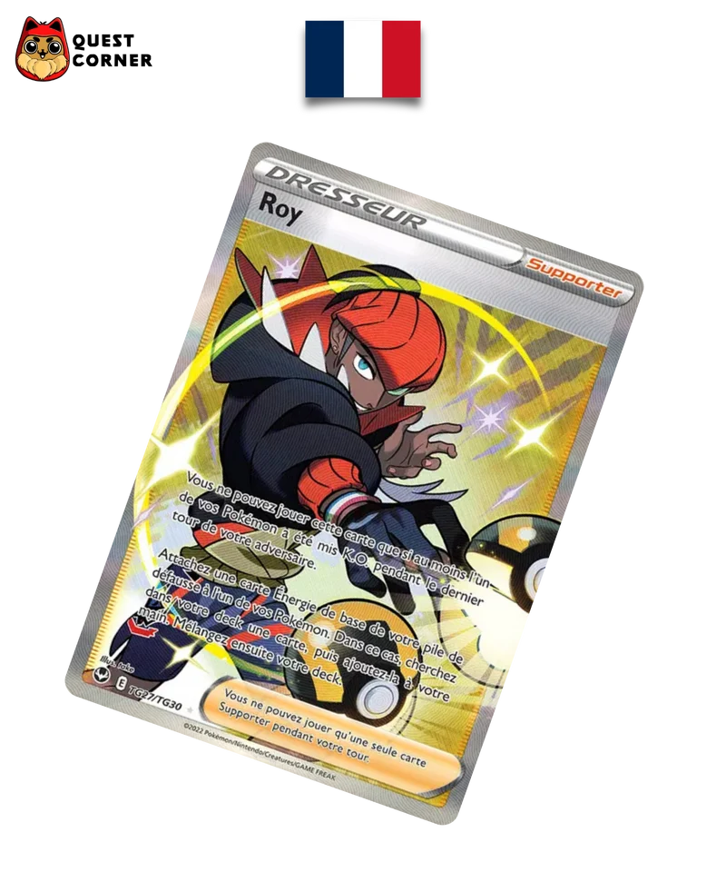 Roy TG27/TG30 – Tempête Argentée – Français – NM