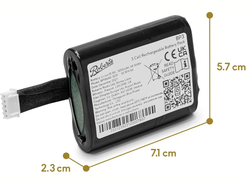 ROBERTS Batterie Rambler MAX
