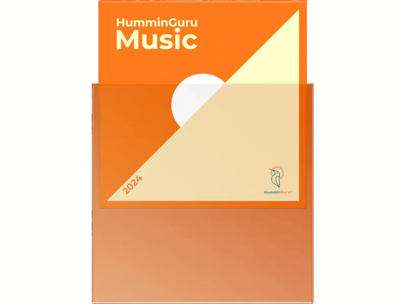 HUMMINGURU Pochettes extérieures x 50 (POUR DISQUES 7")