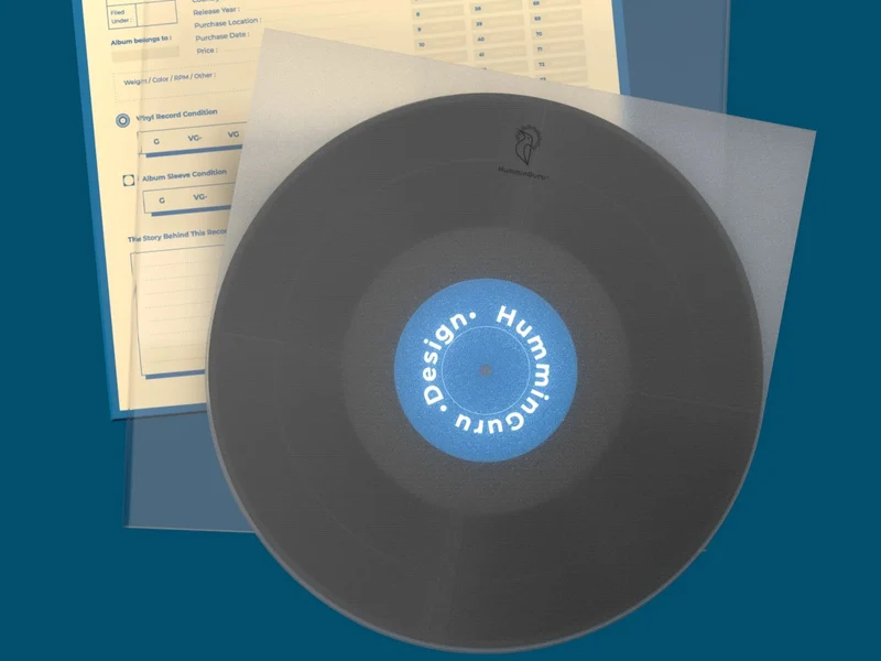 HUMMINGURU Pochettes de remplacement x 25 (POUR DISQUES 12")