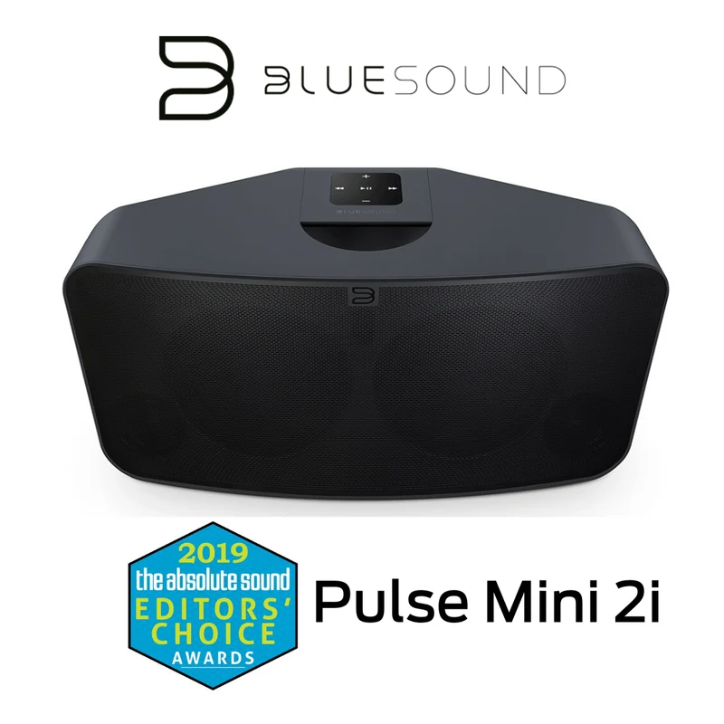 Bluesound Pulse Mini 2i - Haut-parleur sans fil Bluetooth 100W