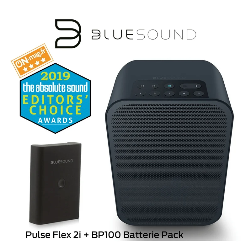 Bluesound Flex 2i - Haut-parleur portable multipièce sans fil + Batterie Pack