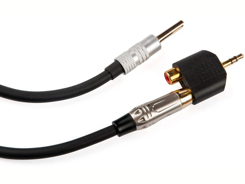 iFi Audio Groundhog+