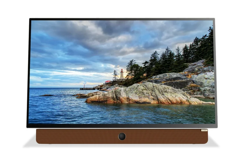 24P100 - Écran LED portable à batterie, 12Volts, 24'' | Google TV