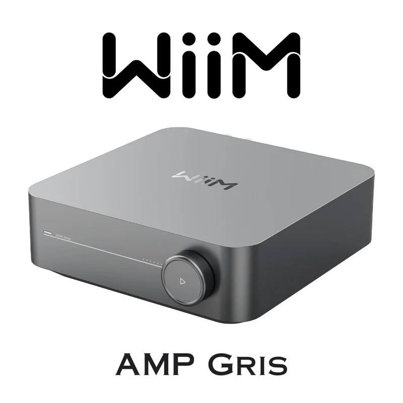 WiiMAMP | Amplificateur stéréo intégré 60W/C de petite taille (Space Grey)