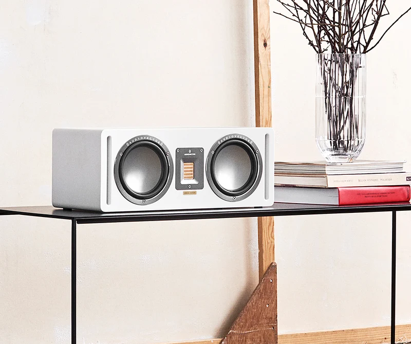 Audiovector QR7CSE - Enceinte de canal central 2 voies (Spécial édition)