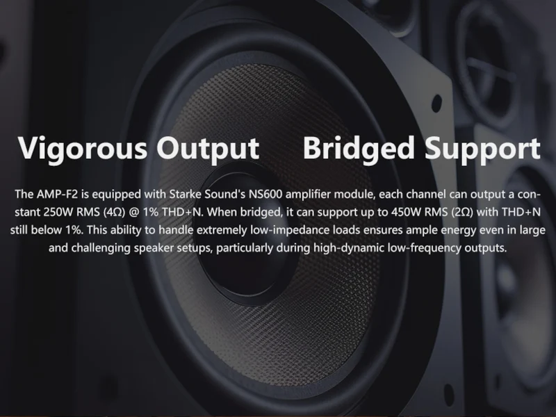 EVERSOLO AMP-F2