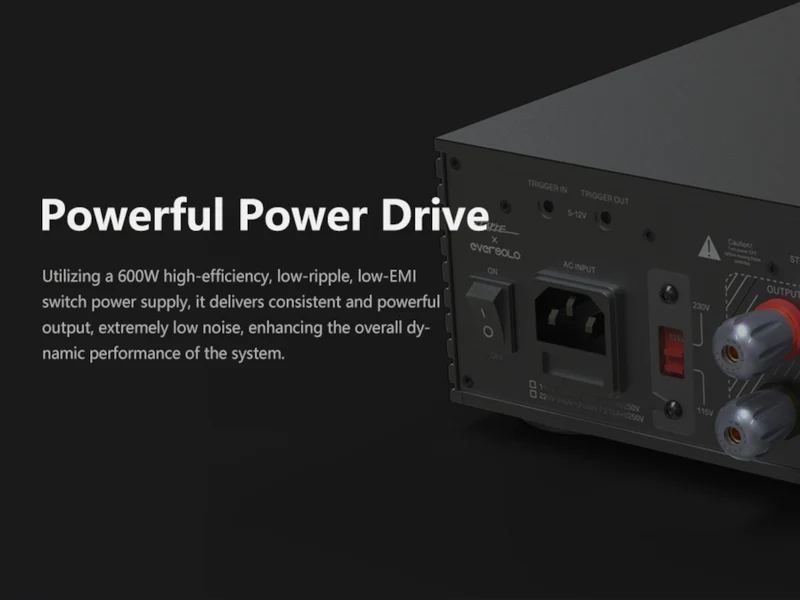 EVERSOLO AMP-F2