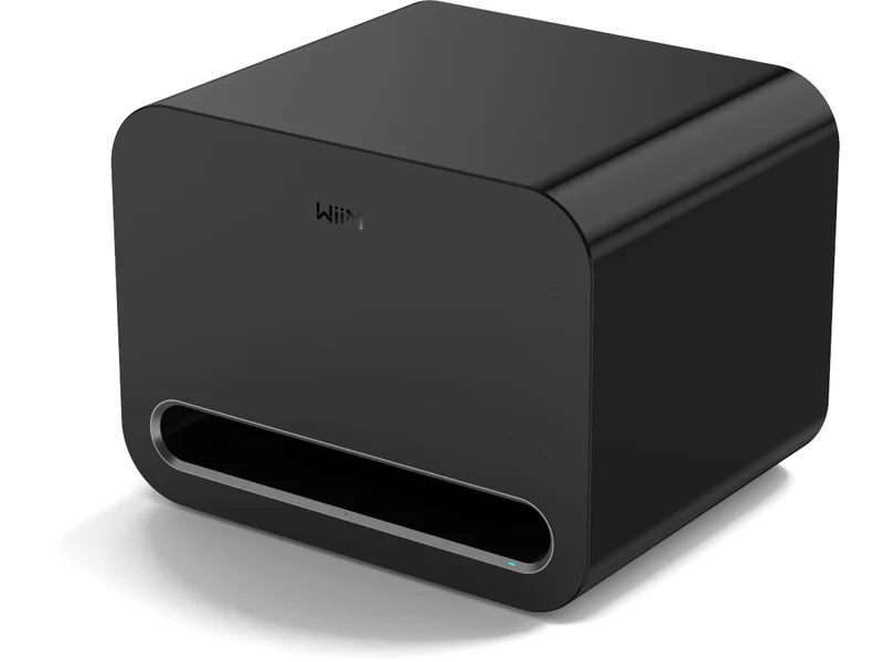 WIIM SUB PRO