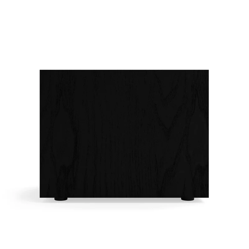 Klipsch R101SW - Caisson de basses 300 Watts haut-parleur de graves de 10''