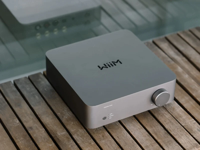 WIIM ULTRA + VIBELINK SYSTEM