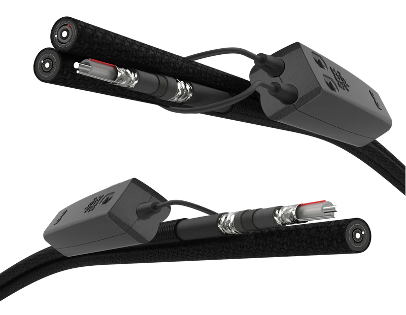 Audioquest Dragon - Câble audio d'interconnexions analogiques XLR