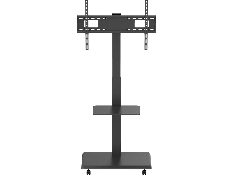 NORSTONE VISION PLUS