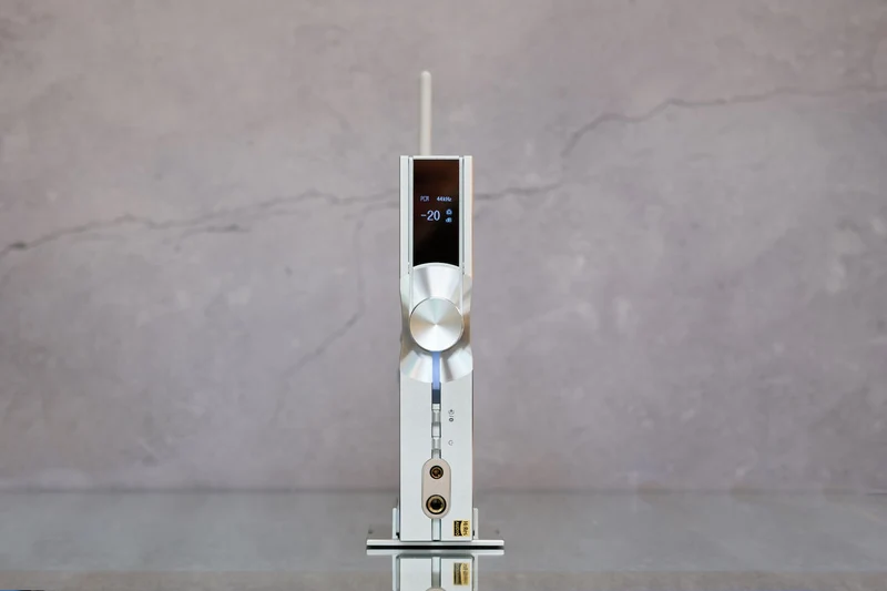 iFi Audio NeoiDSD - Amplificateur d'écouteur/DAC 32 bits/768kHz/DSD