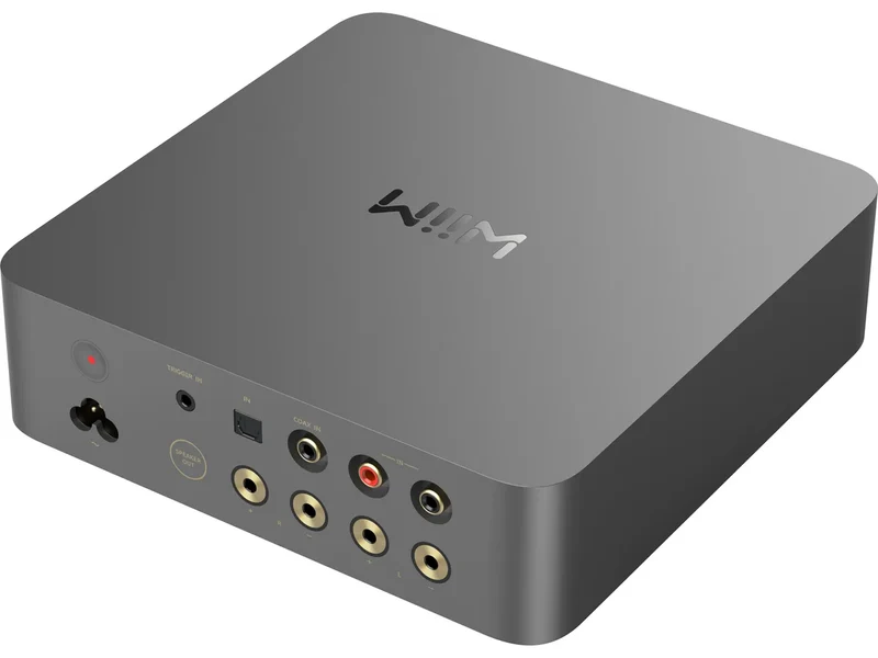 WIIM Vibelink Amp