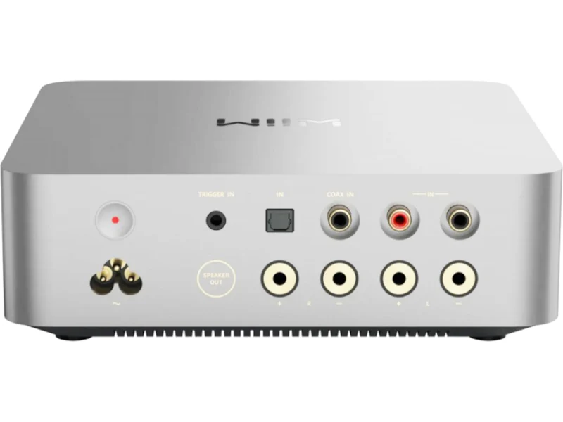 WIIM Vibelink Amp