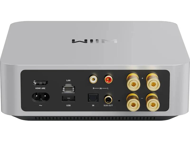 WIIM Amp