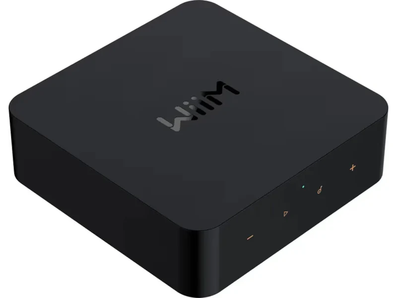 WIIM Pro