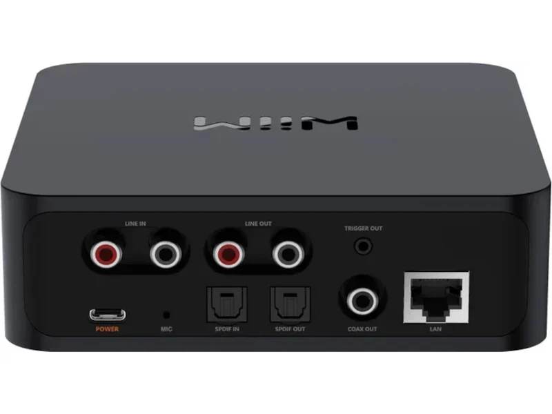 WIIM Pro +