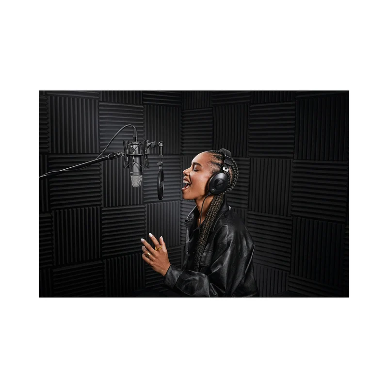 RODE NT1 Signature Series Large-Diaphragm Condenser Microphone (Black)