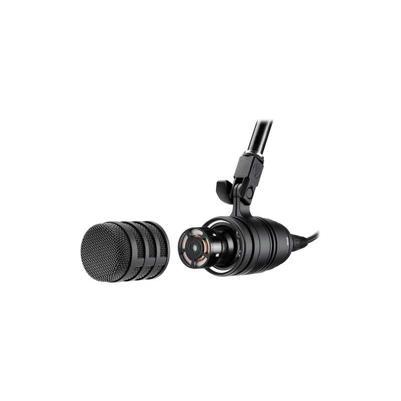 Audio-Technica BP40 Large-Diaphragm Dynamic Broadcast Microphone