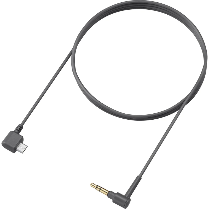 Sony MDR-EX750BT - Earphones with mic - in-ear - behind-the-neck mount - wireless - Bluetooth - NFC - charcoal black