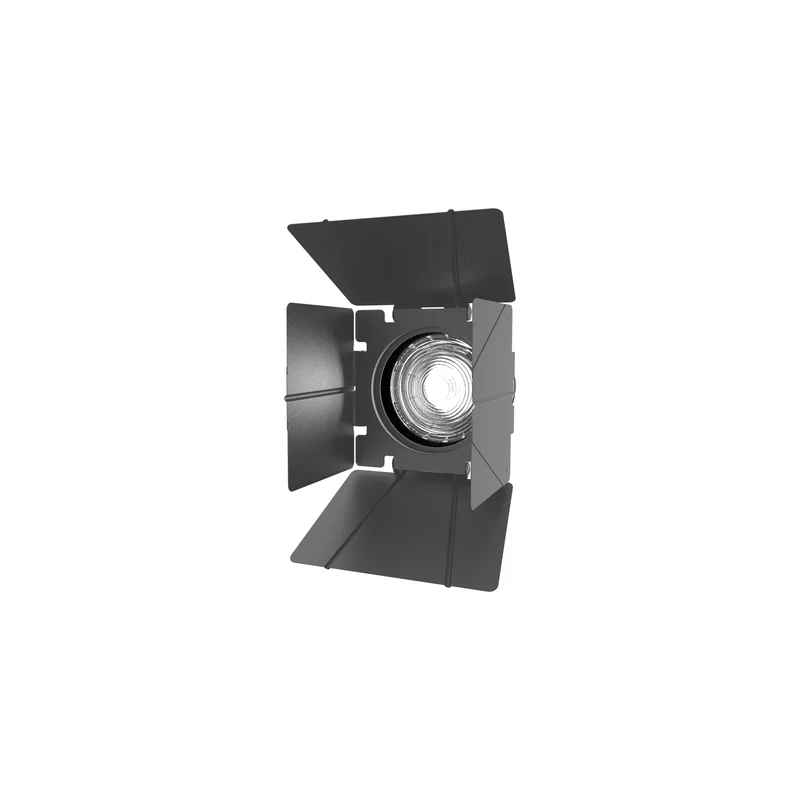 Aputure F10 Fresnel
