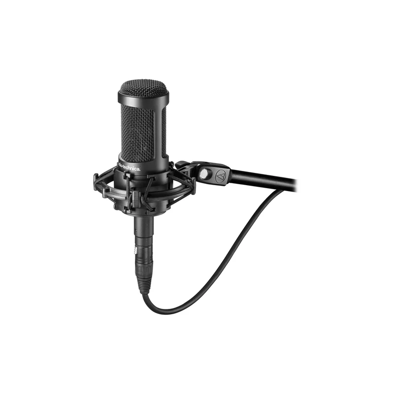 Audio-Technica AT2050 Large-Diaphragm Multipattern Condenser Microphone