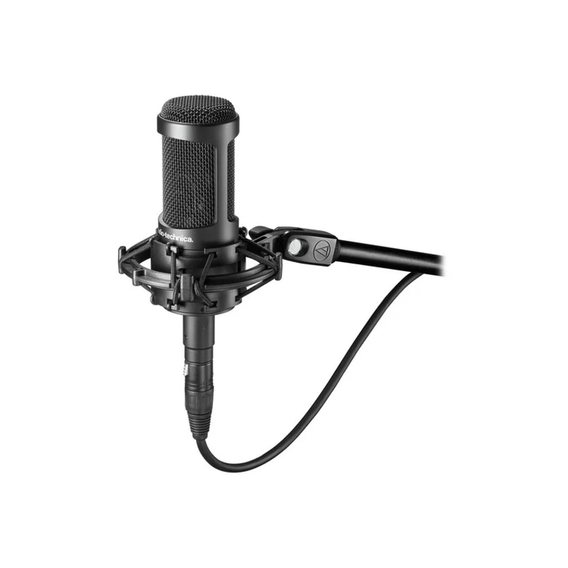 Audio-Technica AT2050 Large-Diaphragm Multipattern Condenser Microphone