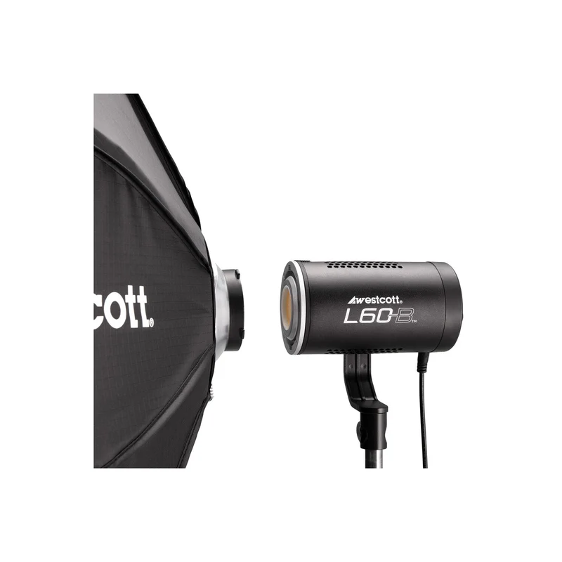 Westcott L60-B Bi-Color COB LED 3-Light Backpack Kit