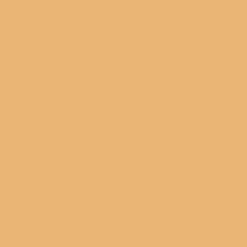 Rosco 3411 RoscoSun 3/4 CTO Gel Sheet 20" x 24"