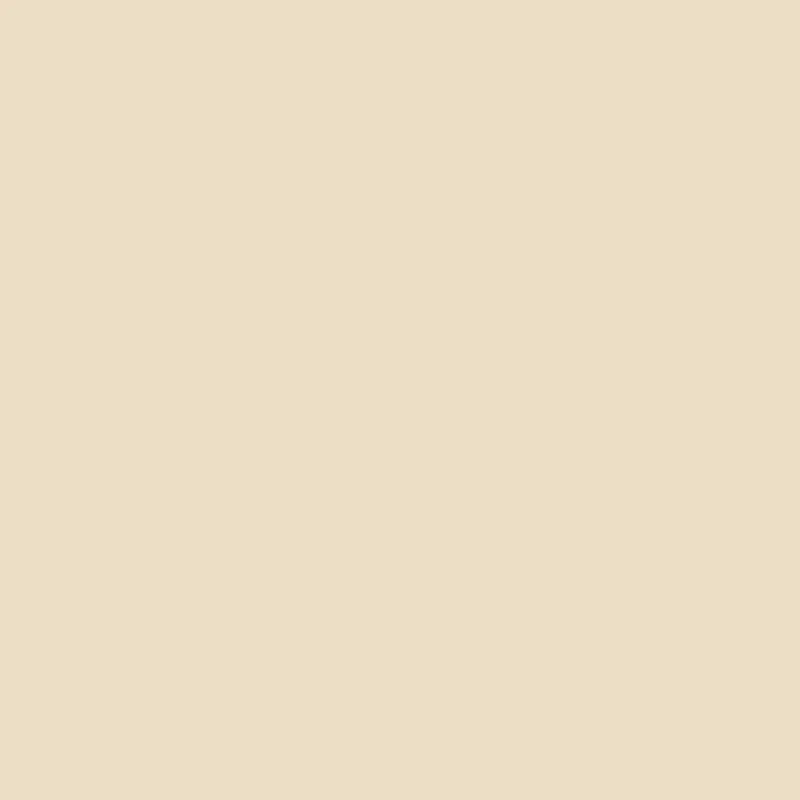 Rosco 3409 RoscoSun 1/4 CTO Gel Sheet 20" x 24"
