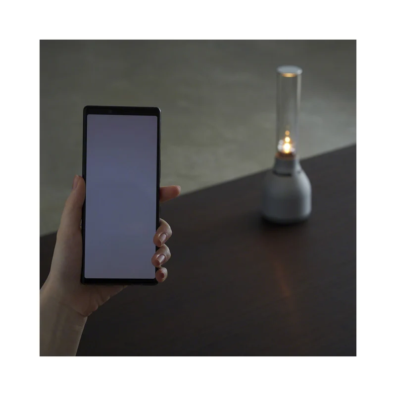 Sony LSPX-S3 Glass Sound Portable Bluetooth Speaker