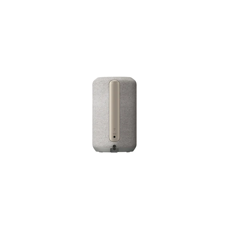 Sony SRS-RA3000 Wireless Speaker