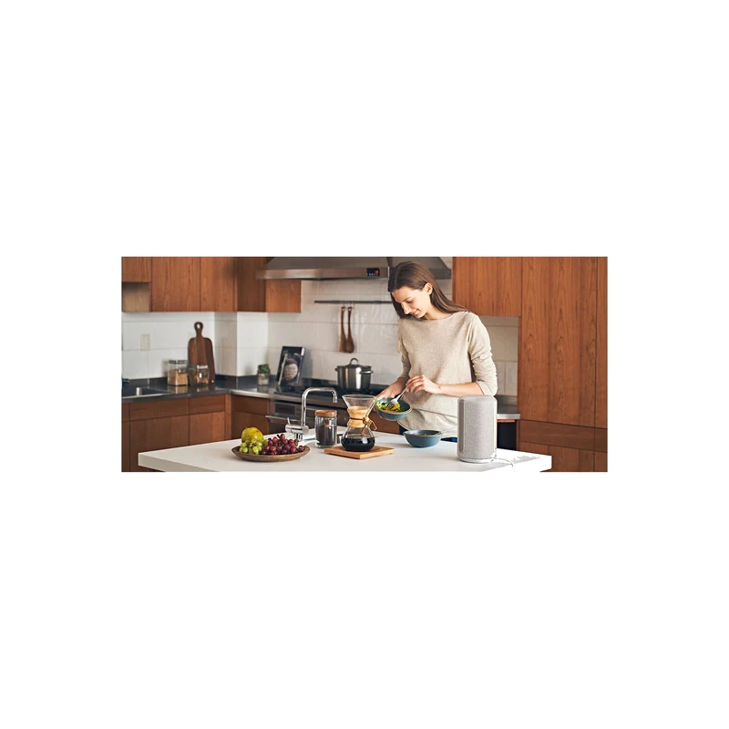 Sony SRS-RA3000 Wireless Speaker